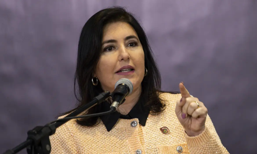 Diz Simone Tebet: Governo Federal acompanha tratativas para viabilizar nova ponte sobre o Rio Apa