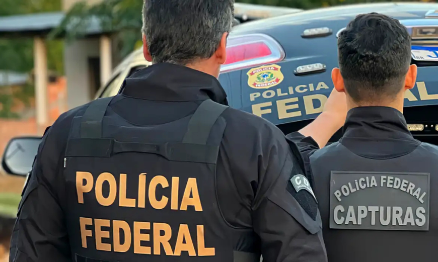 Animais silvestres: Operação da PF em Guarulhos impede tráfico