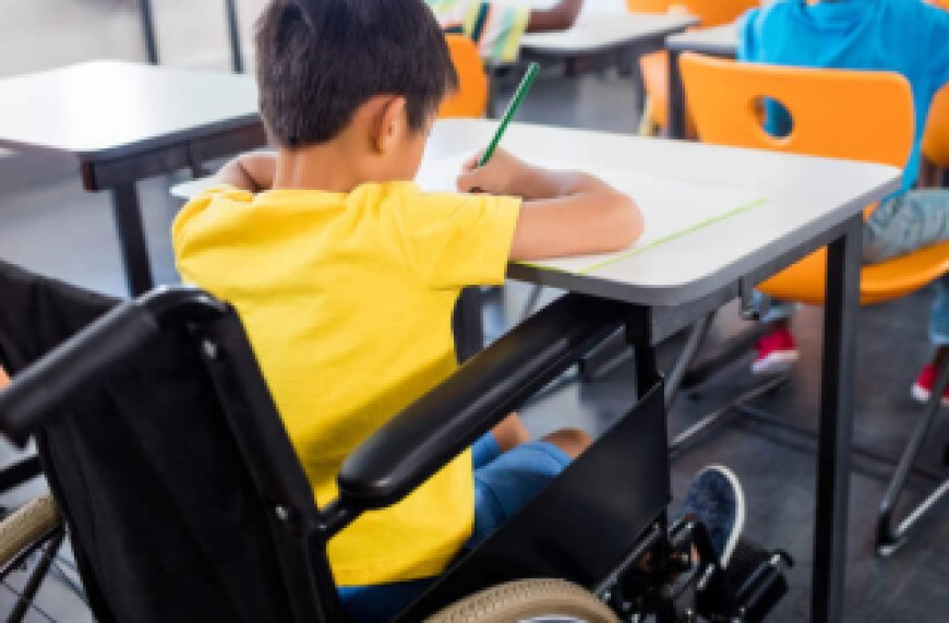Educação Especial Inclusiva: Decreto institui nova Política Nacional