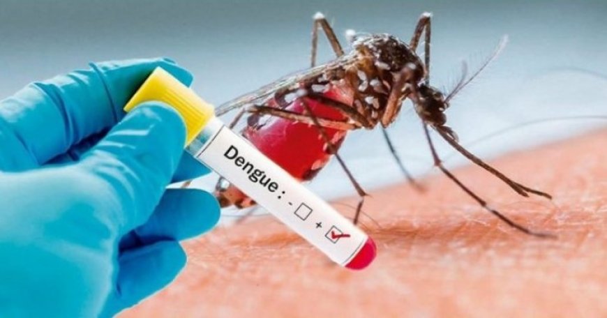 Mato Grosso do Sul em 2025: Dengue já soma mais de 8 mil casos confirmados