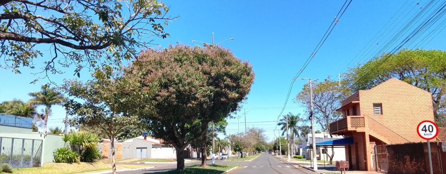 Nesta sexta-feira: Tempo segue quente e seco no Estado