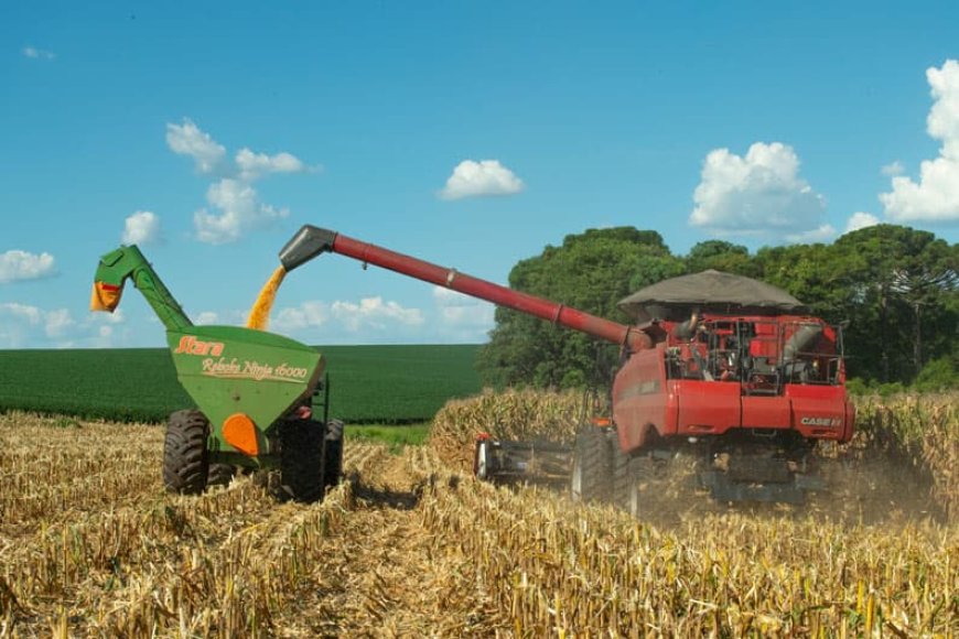 Com fim da colheita do milho: Frete agrícola registra queda no preços em Mato Grosso do Sul