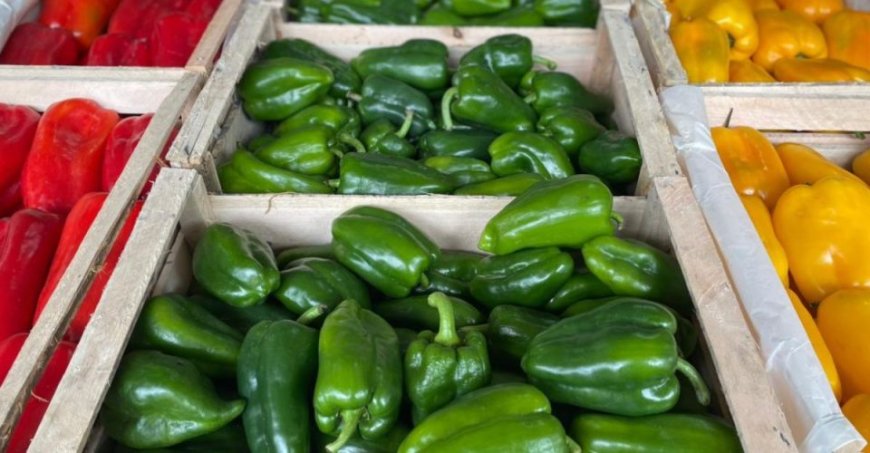 Na Ceasa/MS: Frutas e hortaliças têm variação de até 20% nos preços