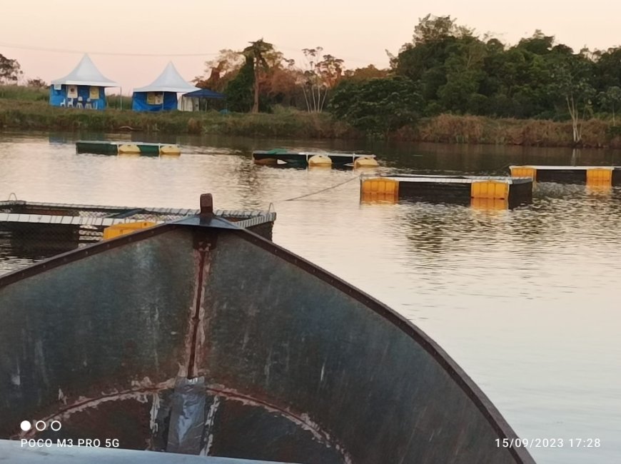 Piscicultura e Sustentabilidade é tema de mesa redonda na Ponta Agrotec 2025