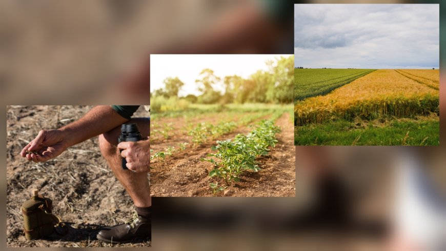Diversidade de culturas e estrutura do solo serão foco da mesa sobre regeneração na Ponta Agrotec 2025