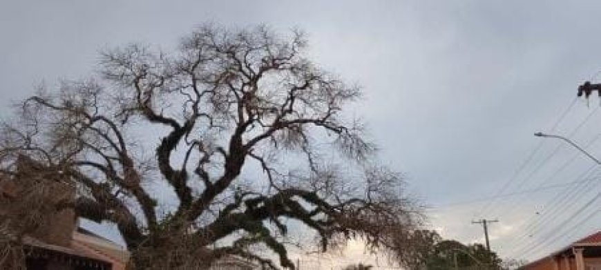 Nesta sexta: Alta pressão mantém tempo instável e ventos intensos em MS