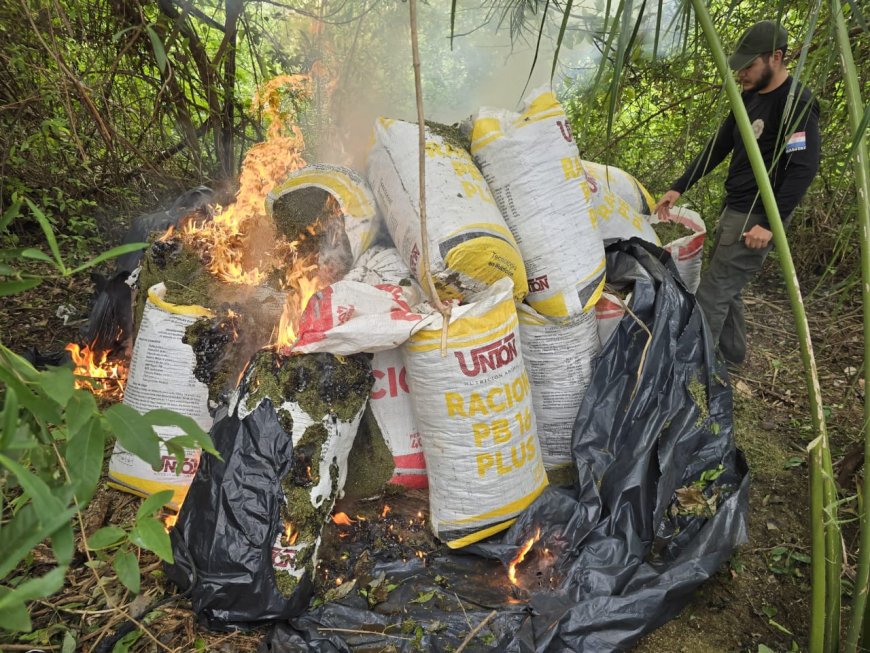 “Nova Aliança 53” tira cerca de mil toneladas de maconha de circulação na Fronteira