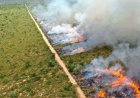 Em 24 anos: Copernicus, emissão global de gases por incêndios é a menor