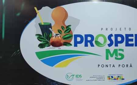 Projeto Prospera MS impulsiona agricultura familiar e movimenta a economia de Ponta Porã