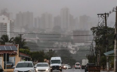 Ventania derruba postes e árvore sobre casa durante temporal em Campo Grande