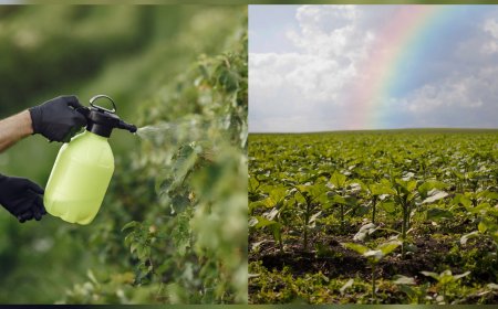 Controle de pragas e sustentabilidade no campo serão debatidos na Ponta Agrotec 2025