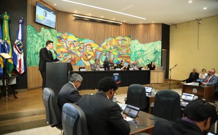 Câmara Municipal inicia votação de projeto que implementa a Lei Lucas nas escolas de Ponta Porã