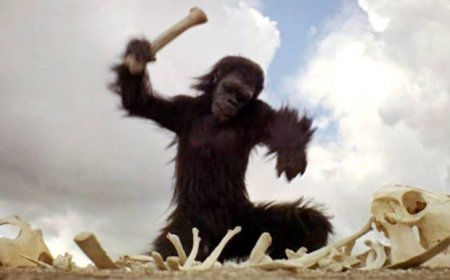 Cine Café exibe filme de Stanley Kubrik no MIS nesta quinta-feira com entrada franca