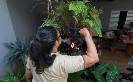 Contra o mosquito, todos do mesmo lado: Mato Grosso do Sul realiza ‘Dia D’ de Combate à Dengue