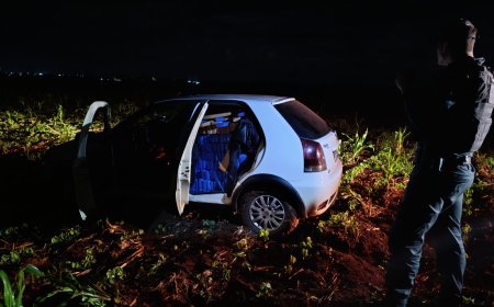 Polícia Militar apreende 850 quilos de maconha em ação no distrito de Nova Itamarati