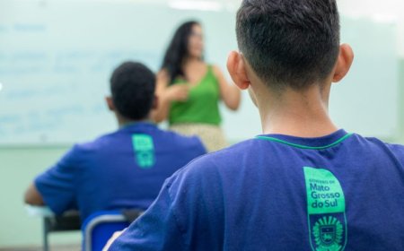 Fortalecimento do ensino público em MS é reconhecido em Brasília com honraria do Mérito Educativo