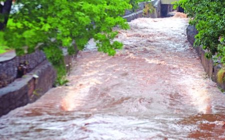Instabilidade domina MS: cidades já ultrapassam 200 mm e semana terá risco de alagamentos