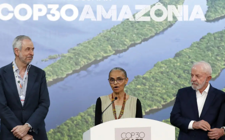 Diz Marina, Alemanha dará 1 bilhão de euros para florestas tropicais