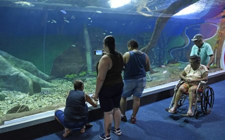 Bioparque Pantanal recebe selo internacional “ouro” por sustentabilidade e se destaca entre atrativos turísticos mundiais