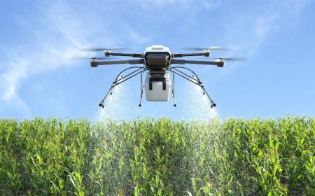 Aplicação aérea exige ajustes para evitar perdas