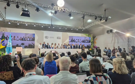 Mapa do Caminho: Professor defende que Brasil dê exemplo