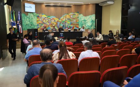 Em sessão movimentada: Vereadores de Ponta Porã aprovam dezenas de projetos e requerimentos