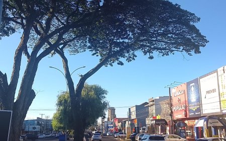 Mato Grosso do Sul: Frente fria avança e dezembro começa com risco de tempestades