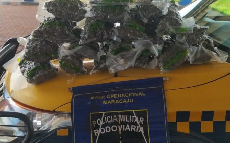 BPMRv apreende 9,6 kg de skank durante fiscalização em Maracaju