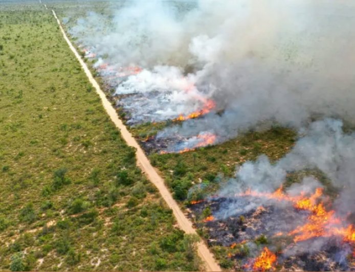 Em 24 anos: Copernicus, emissão global de gases por incêndios é a menor