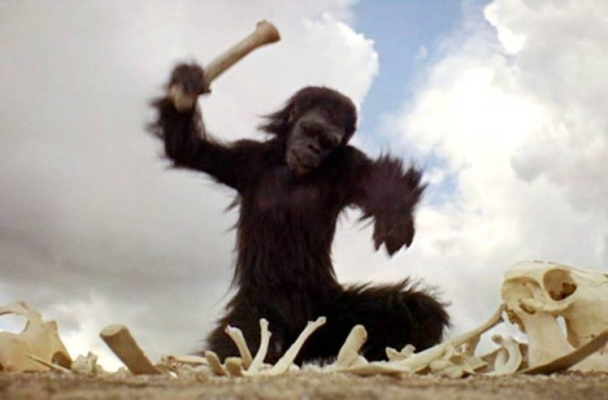 Cine Café exibe filme de Stanley Kubrik no MIS nesta quinta-feira com entrada franca