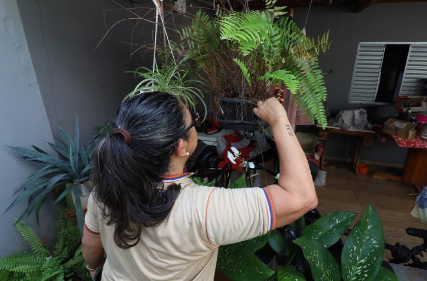 Contra o mosquito, todos do mesmo lado: Mato Grosso do Sul realiza ‘Dia D’ de Combate à Dengue