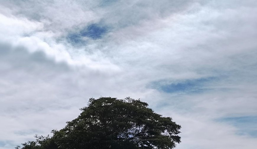 Algumas regiões de MS: Domingão será de tempo estável, mas com possibilidade de chuva