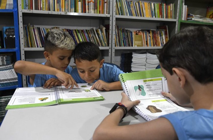 Com atuação conjunta por meio do MS Alfabetiza, Estado e municípios consolidam avanço da educação pública