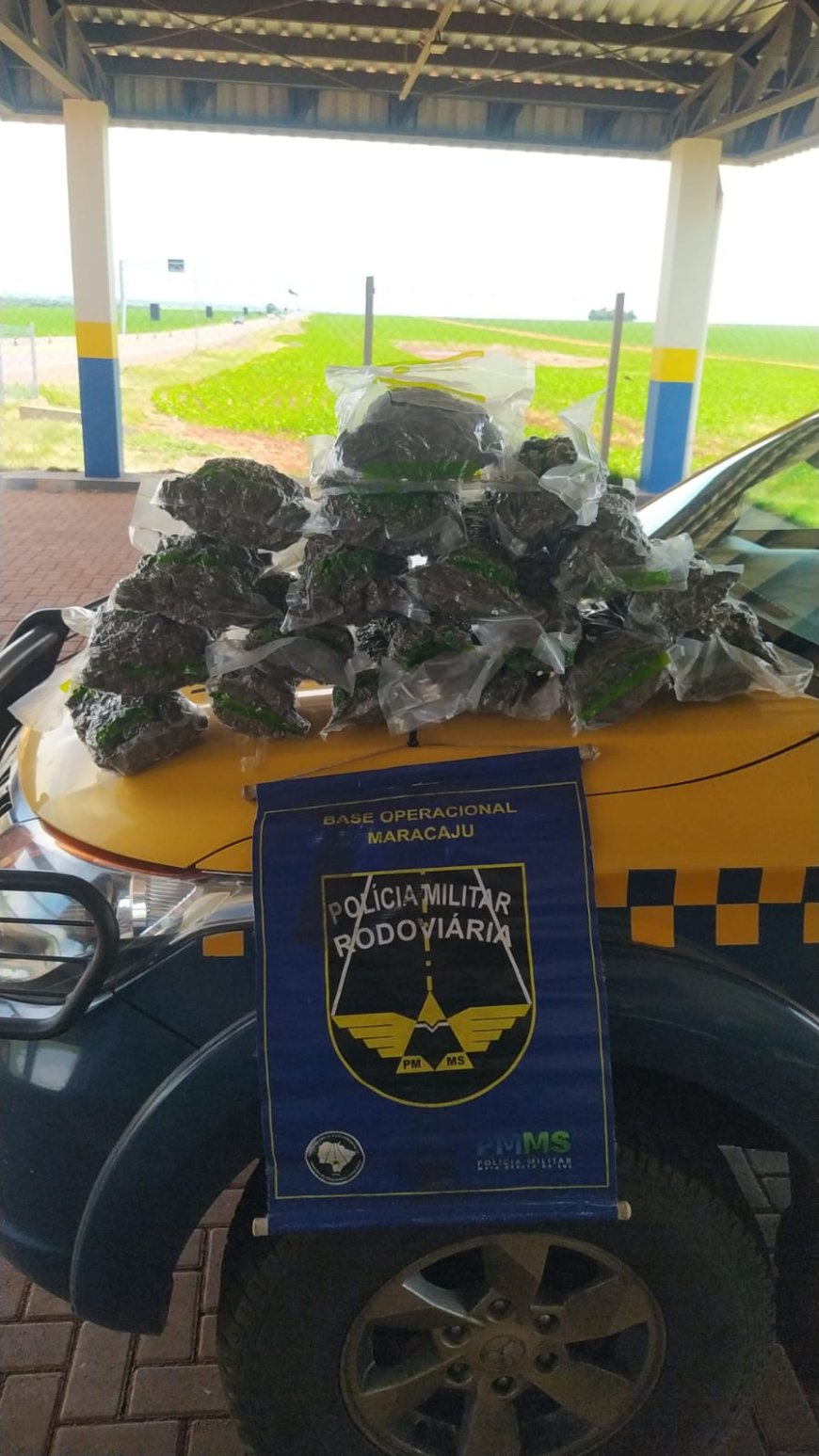 BPMRv apreende 9,6 kg de skank durante fiscalização em Maracaju