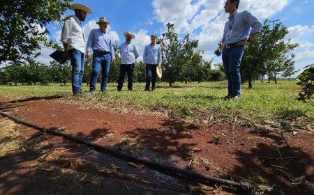 Governo avança em capacitações do MS Irriga e destaca potencial para irrigar 4 milhões de hectares