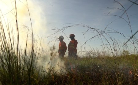 Operação Pantanal 2025 apresenta balanço com redução expressiva em focos de incêndios e hectares afetados
