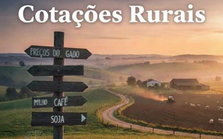 Cotações Agropecuárias: As últimas atualizações dos preços da soja, café, milho, boi gordo e muito mais estão aqui.