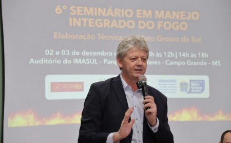‘Cada hectare importa’, diz secretário ao citar redução de área queimada no Pantanal durante Seminário do MIF