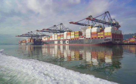 TCU retoma julgamento sobre modelo de concessão do Tecon 10, megaterminal do Porto de Santos