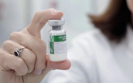 Butantan: Anvisa publica registro da vacina contra a dengue