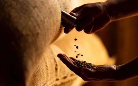 Mais de 680 mil sacas de café não foram embarcadas em outubro por defasagem portuária