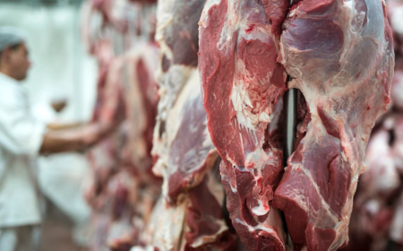 Anuncia Mapa: Brasil passará a exportar carne bovina à Guatemala