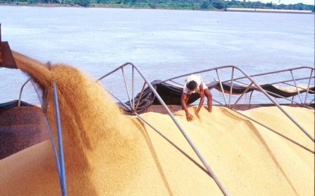 Soja e milho ganham força nos portos do Arco Norte e mudam logística nacional