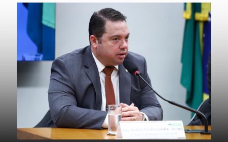 Rodolfo Nogueira faz história na Comissão de Agricultura com recorde de aprovações