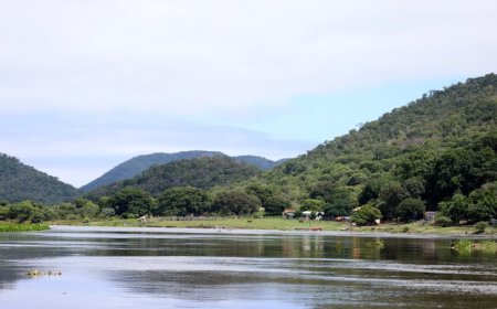 Aprovada a criação da MS Ativos Ambientais, empresa que passa a gerir o patrimônio natural do Estado
