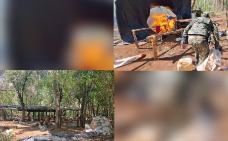 Departamento antidrogas destrói plantação de maconha na fronteira