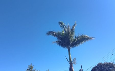 MS nesta quarta (17): Frente fria derruba temperaturas ao amanhecer