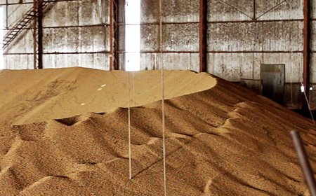 Mercado de soja segue travado, com negócios pontuais