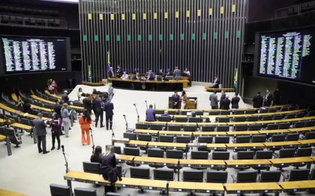 Em 2025: Comissão de Agricultura e Reforma Agrária comemora 28 propostas aprovadas