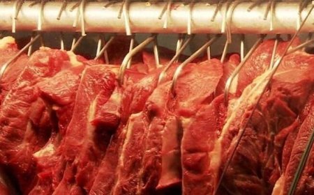Mercado: Mais 4 novos frigoríficos brasileiros poderão exportar carne bovina ao Vietnã